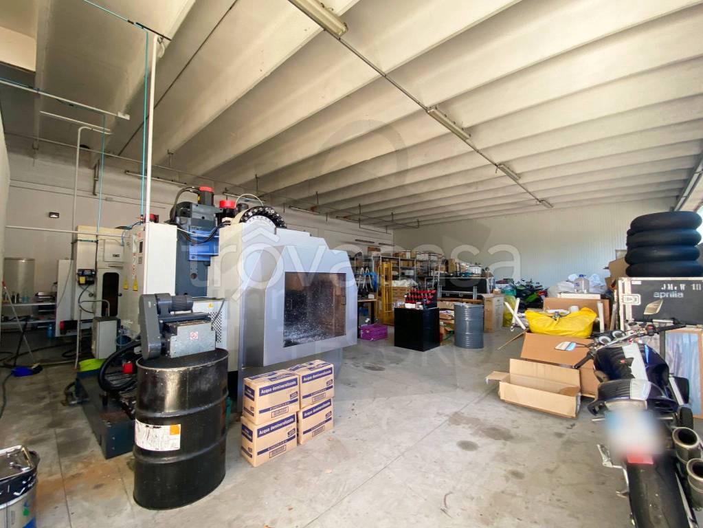 immagine annuncio 12 di 15