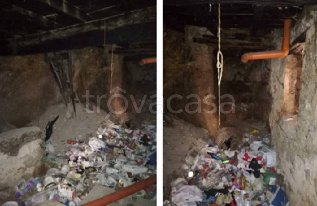 immagine annuncio 5 di 14