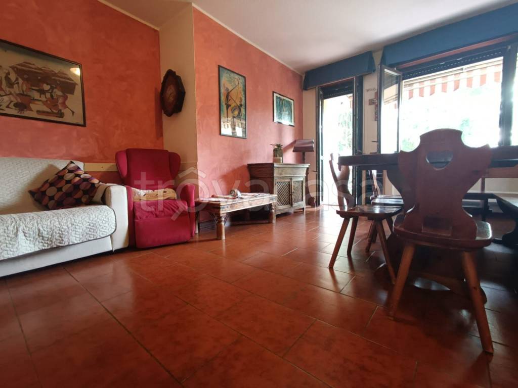 immagine annuncio 9 di 15