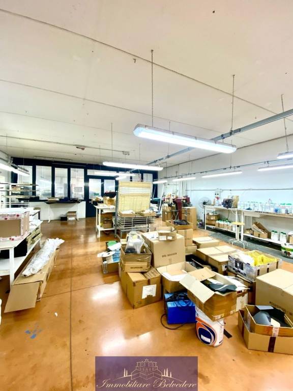 immagine annuncio 8 di 14