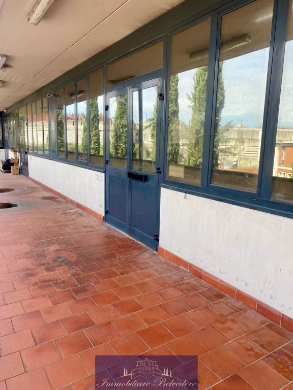 immagine annuncio 9 di 14