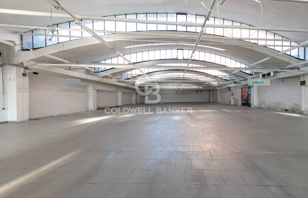 immagine annuncio 4 di 9