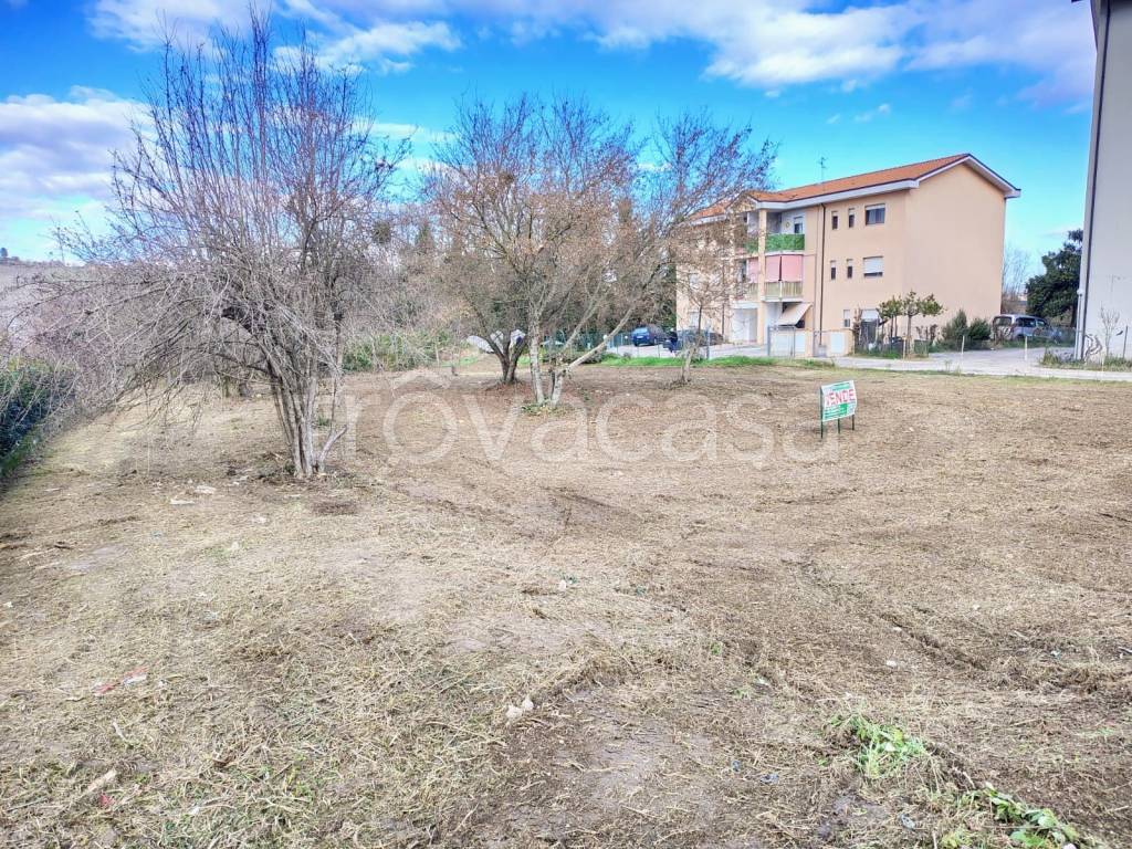 immagine annuncio 2 di 14