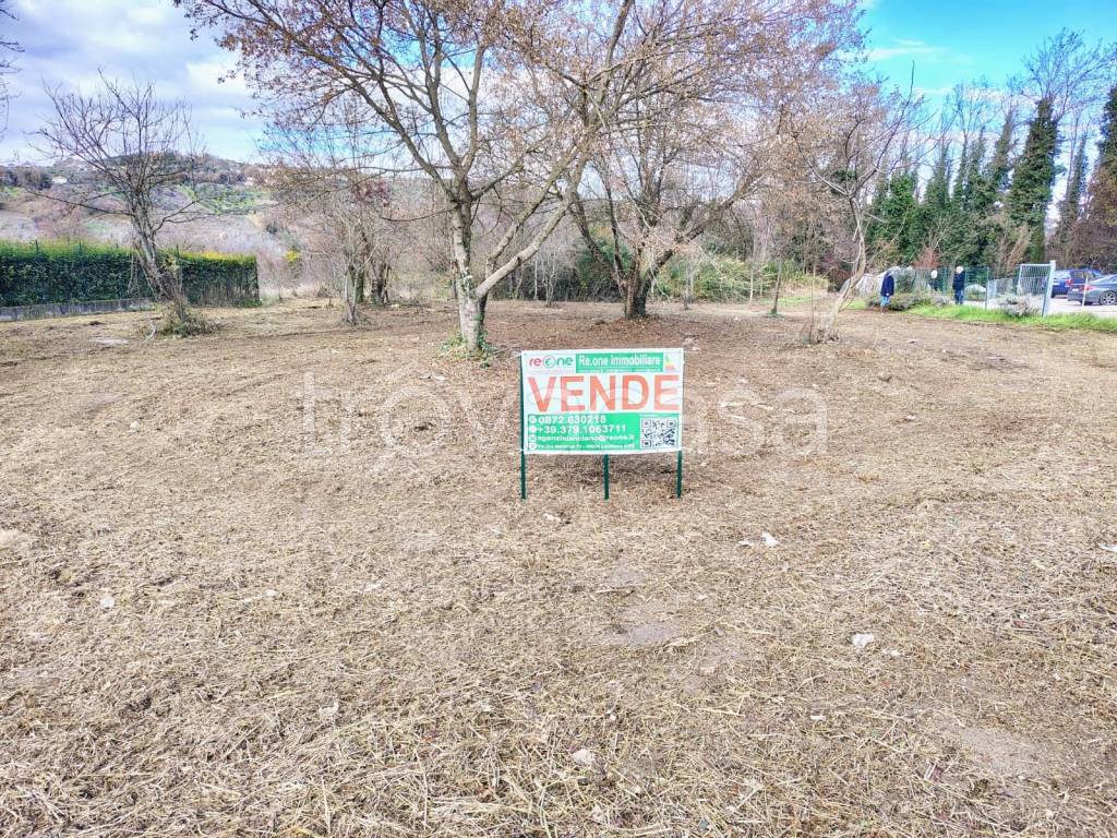 immagine annuncio 3 di 14