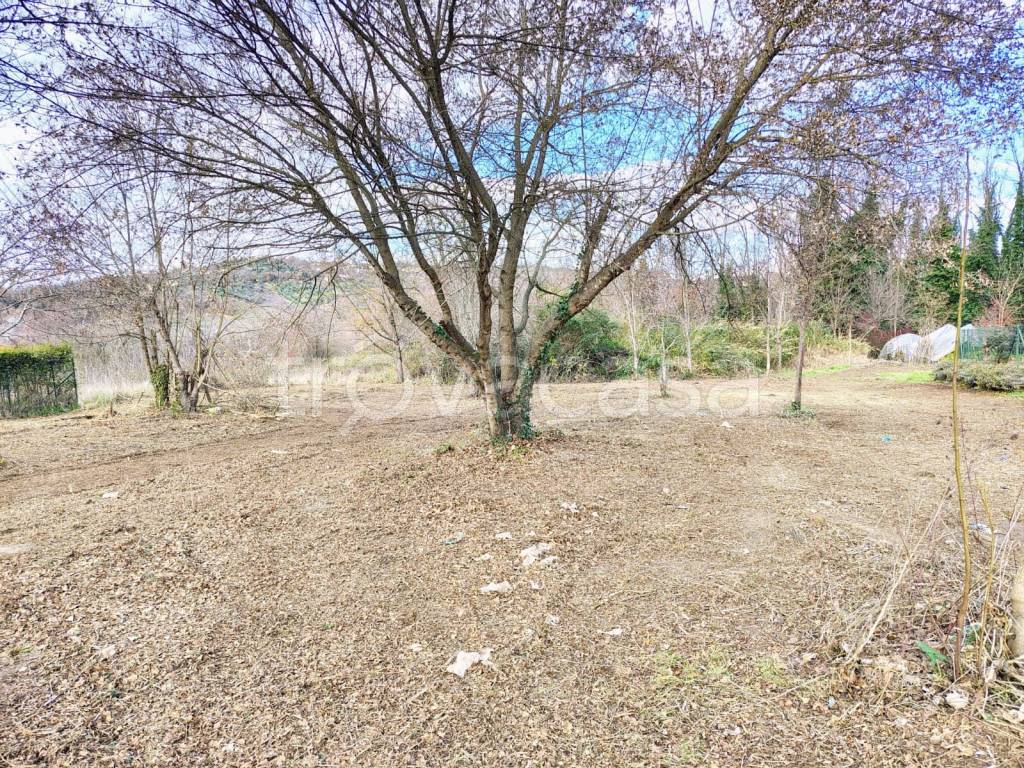 immagine annuncio 4 di 14