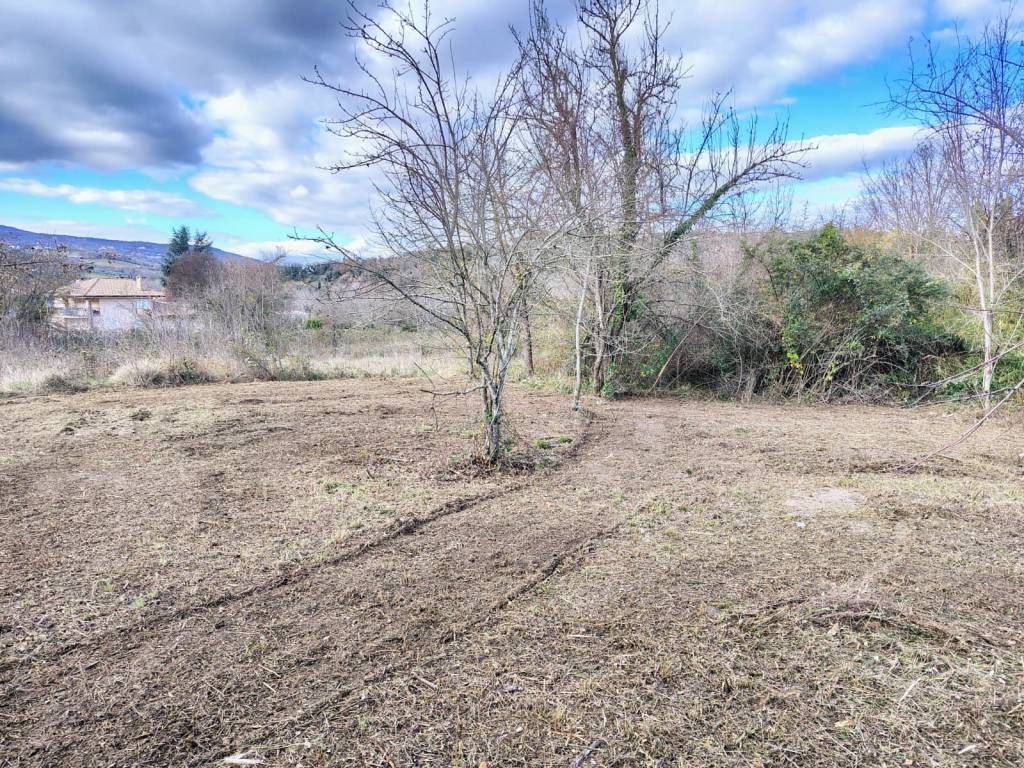 immagine annuncio 6 di 14