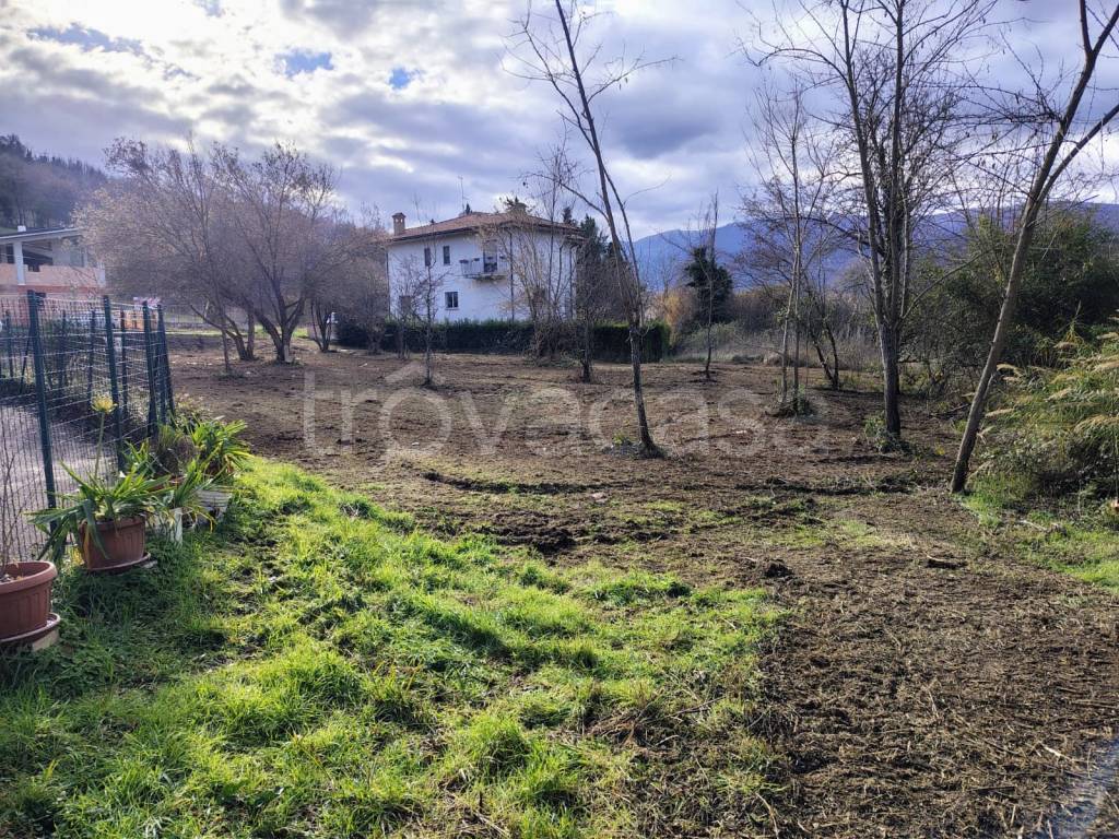 immagine annuncio 9 di 14