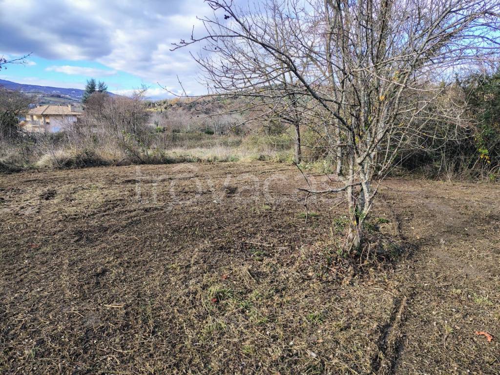 immagine annuncio 10 di 14