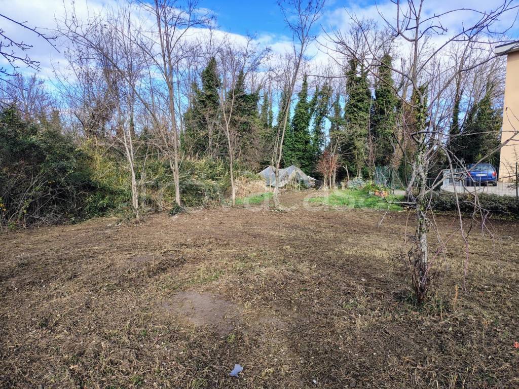 immagine annuncio 11 di 14