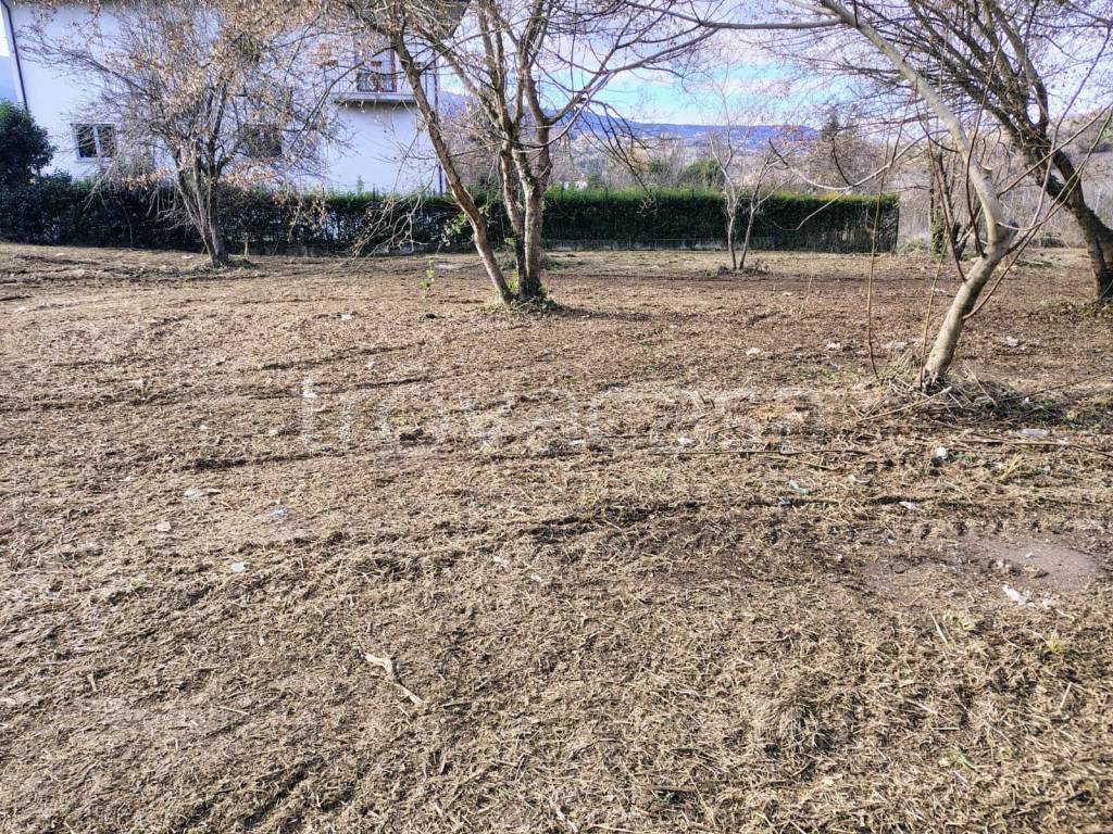 immagine annuncio 12 di 14