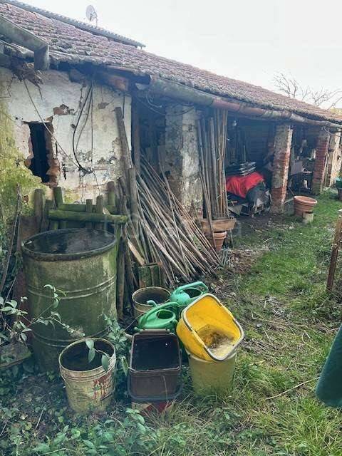 immagine annuncio 3 di 9