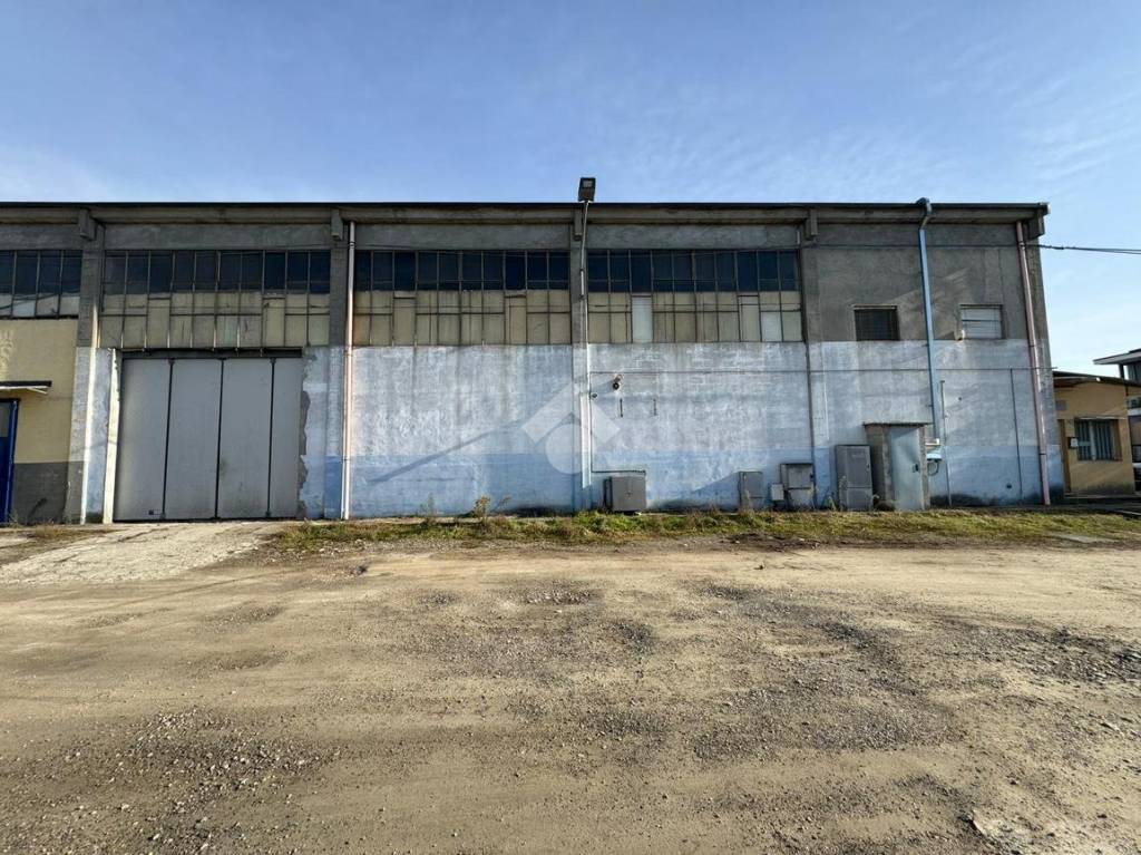 immagine annuncio 9 di 15