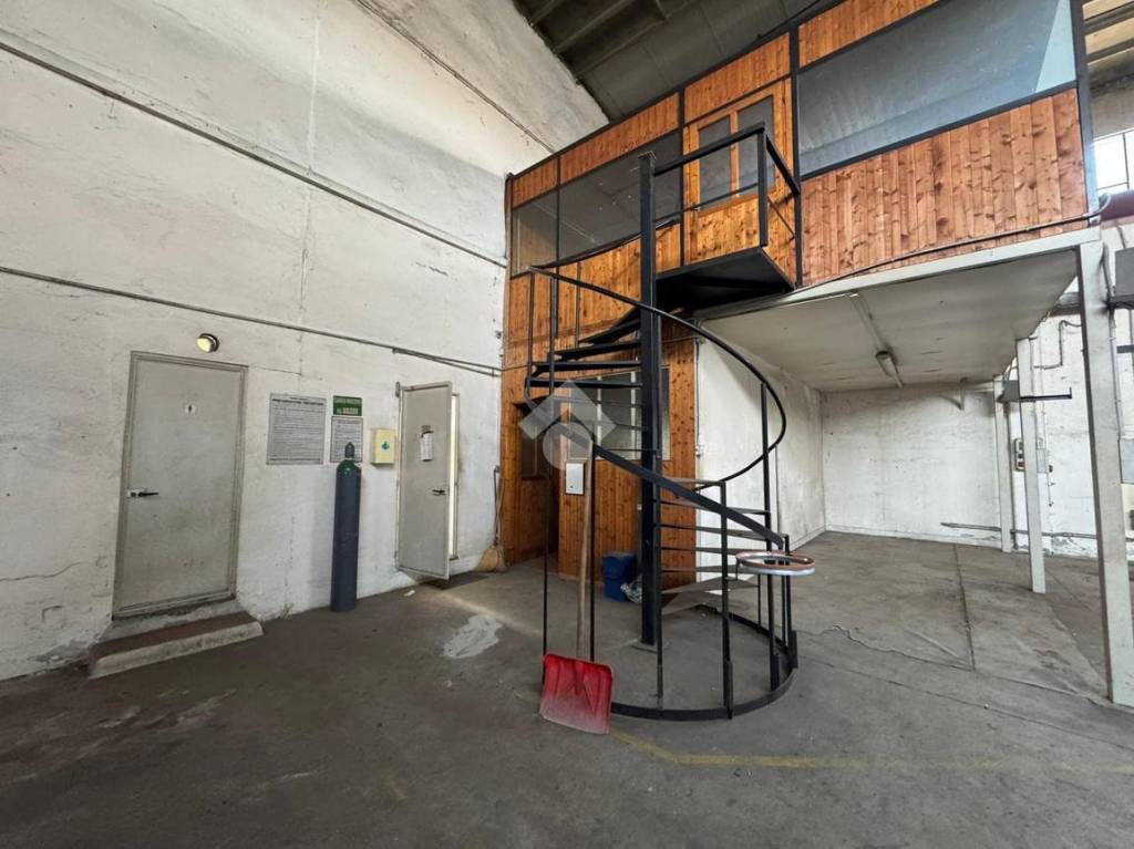 immagine annuncio 12 di 15