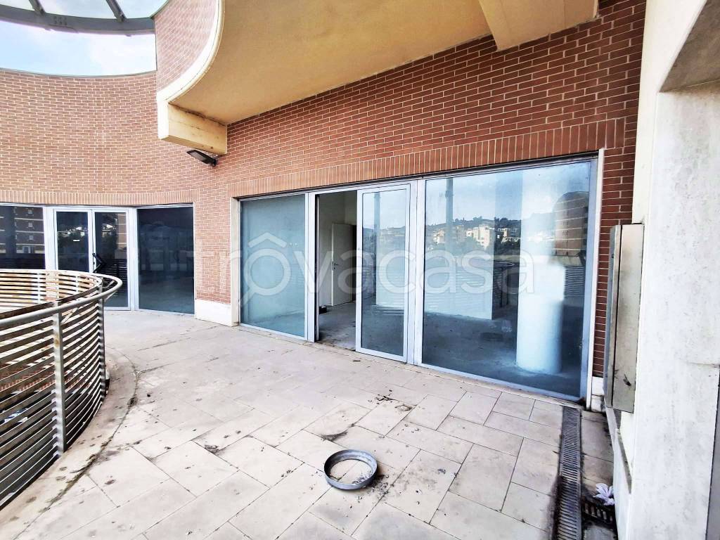 immagine annuncio 5 di 14