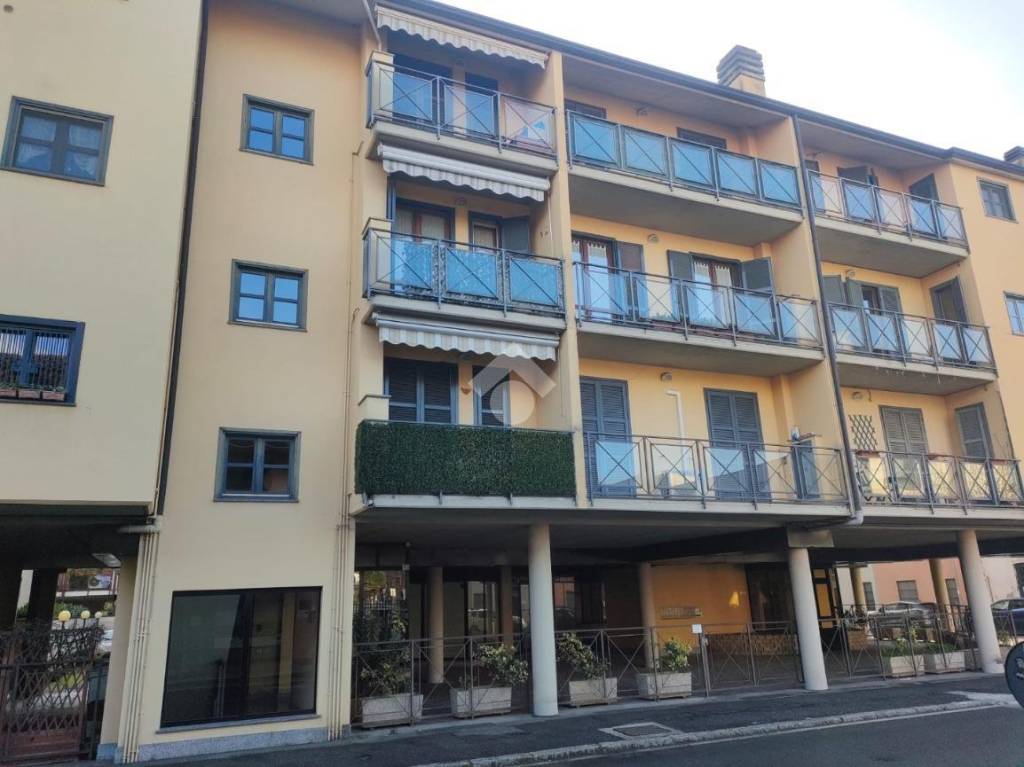 immagine annuncio 7 di 15