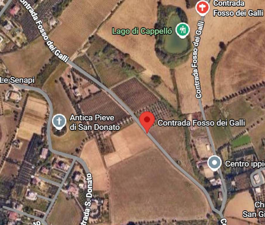 immagine annuncio 5 di 13