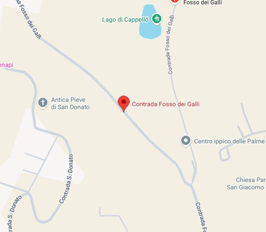 immagine annuncio 6 di 13