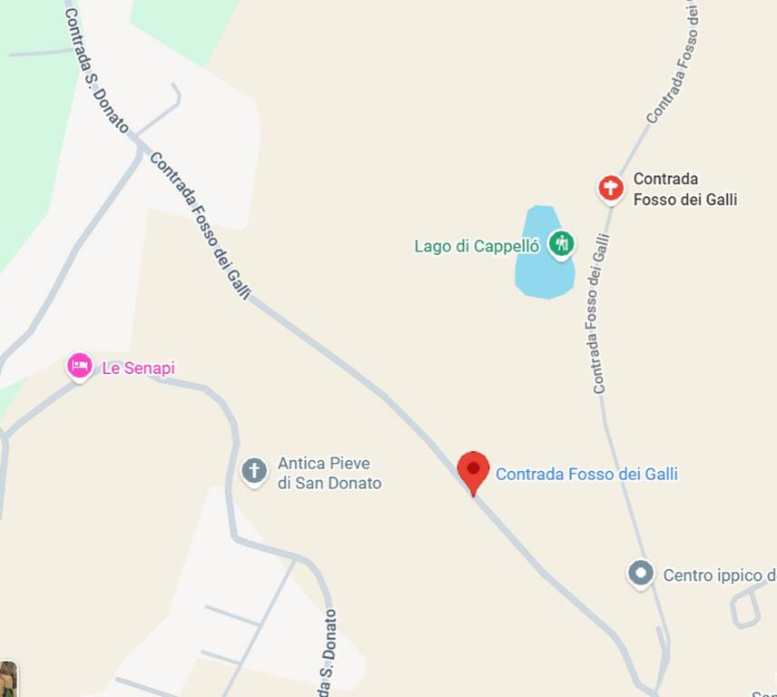 immagine annuncio 8 di 13