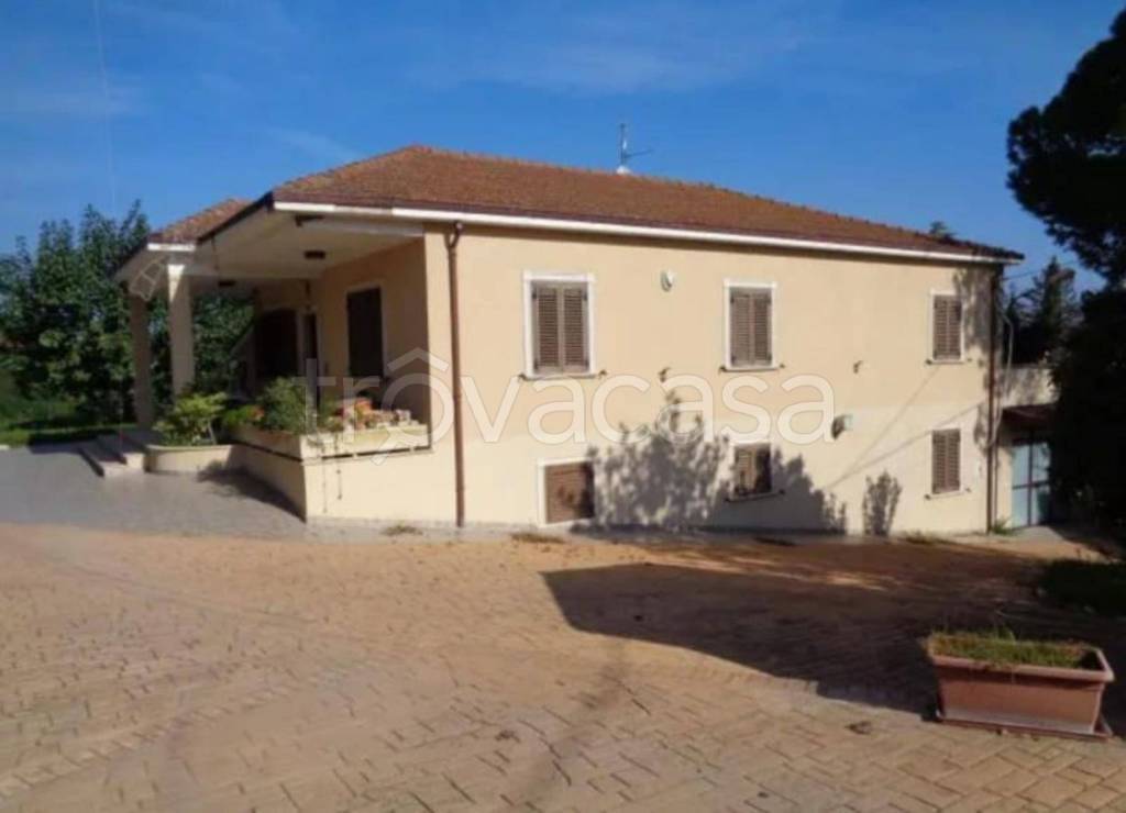 immagine annuncio 4 di 12