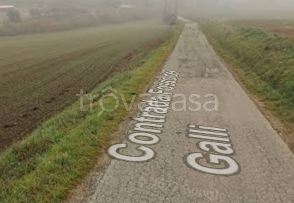 immagine annuncio 9 di 13