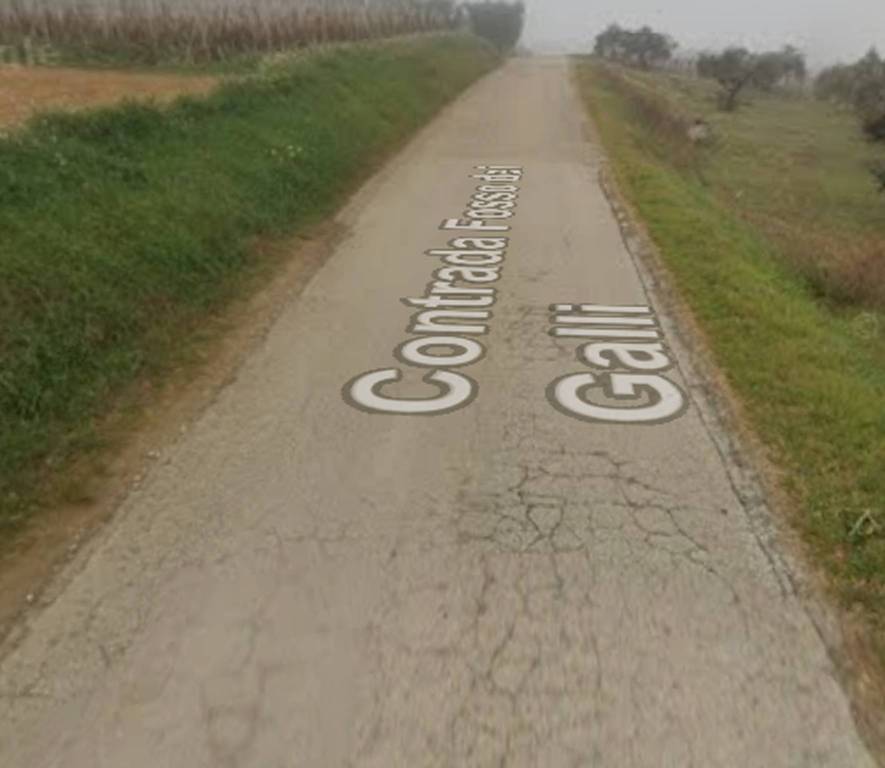 immagine annuncio 10 di 13