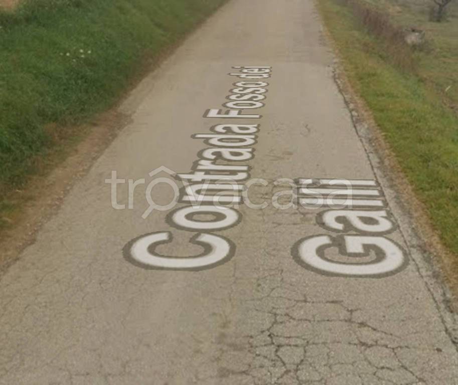 immagine annuncio 11 di 13