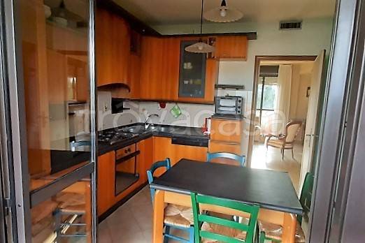 immagine annuncio 3 di 14