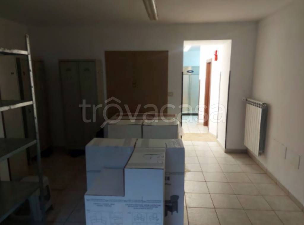 immagine annuncio 5 di 14