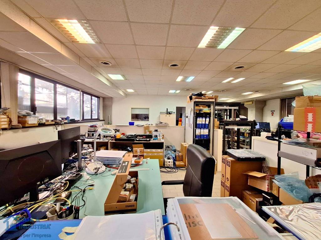 immagine annuncio 11 di 15