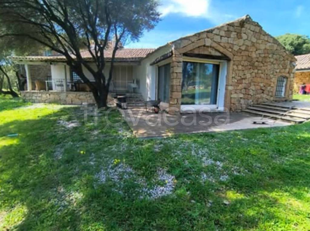 immagine annuncio 11 di 14