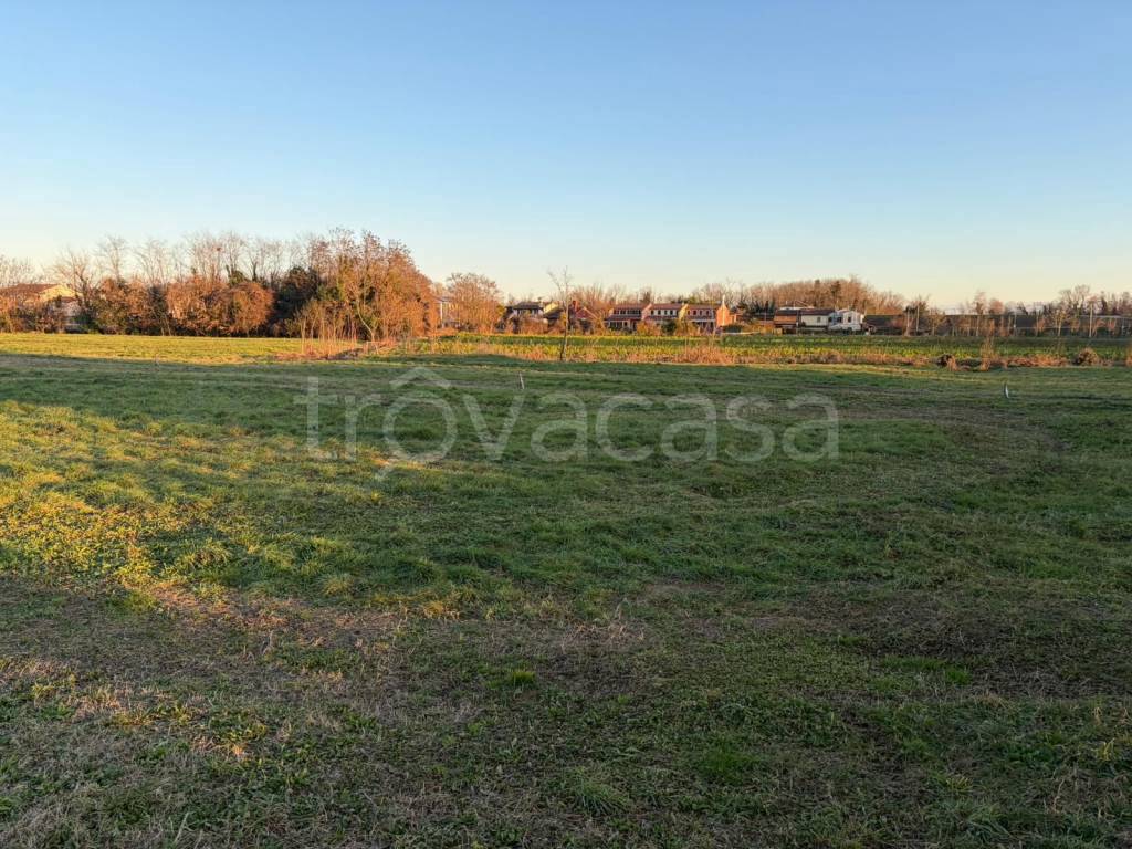 immagine annuncio 4 di 8