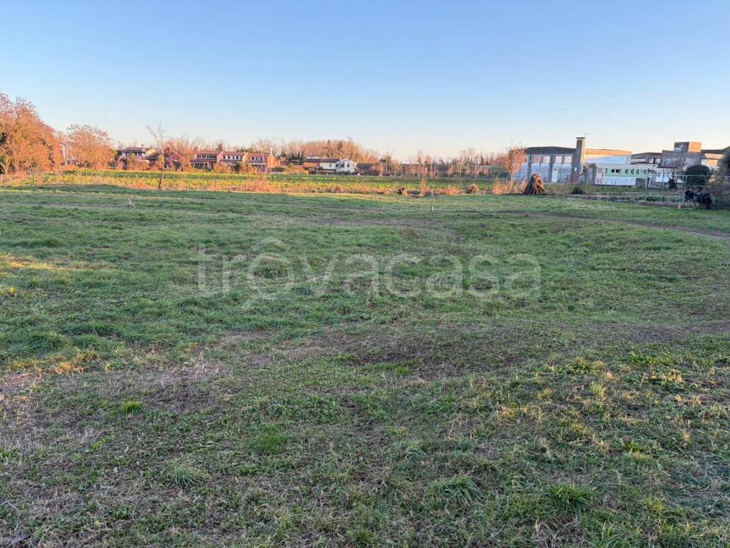 immagine annuncio 5 di 8