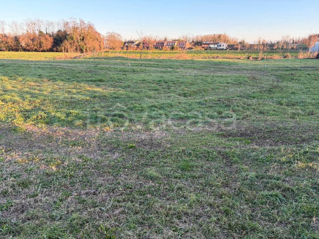 immagine annuncio 6 di 8