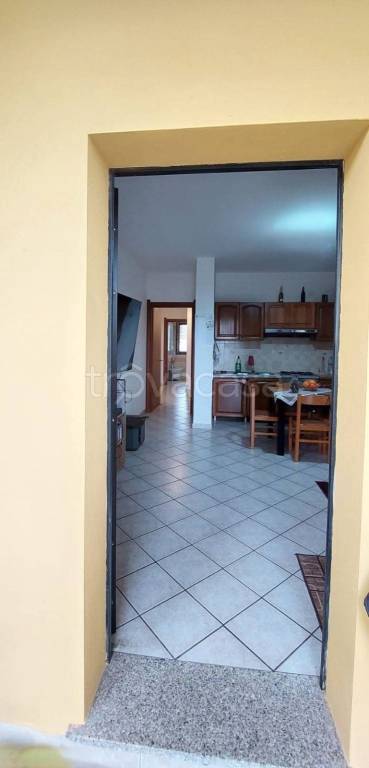 immagine annuncio 4 di 14