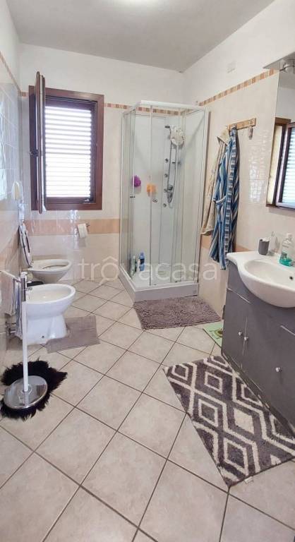 immagine annuncio 12 di 14