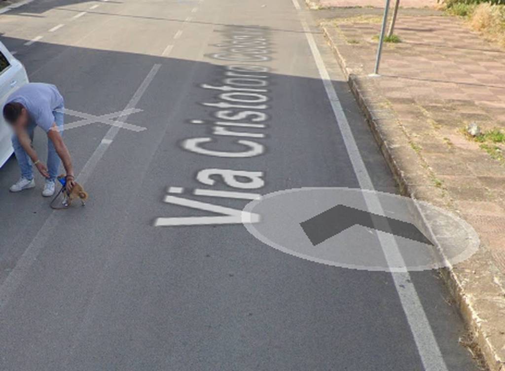 immagine annuncio 9 di 10