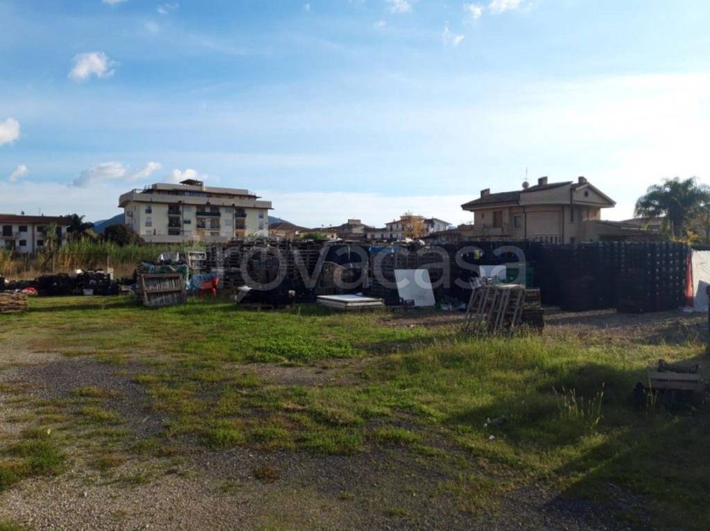 immagine annuncio 6 di 11