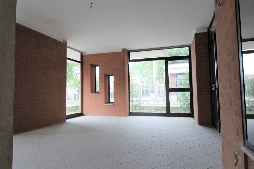 immagine annuncio 5 di 14