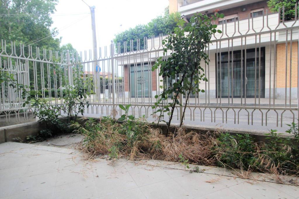 immagine annuncio 9 di 14