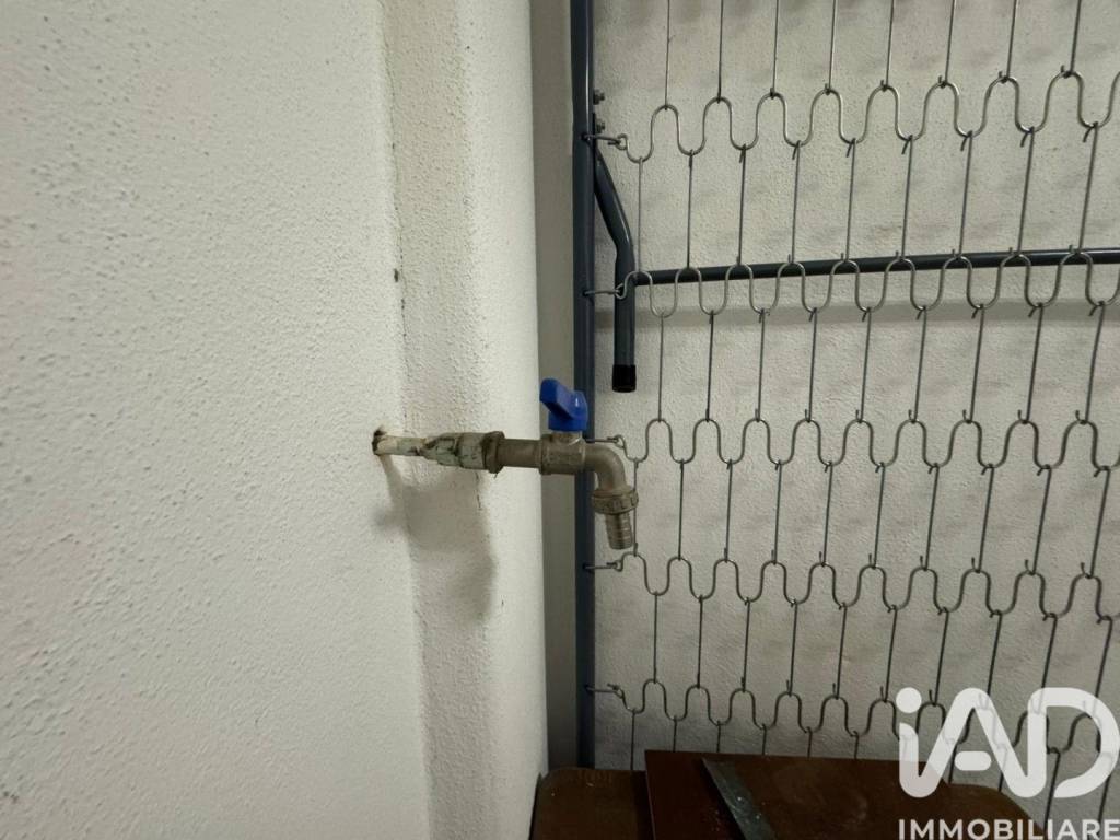 immagine annuncio 5 di 6