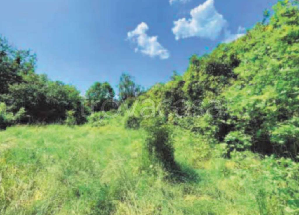 immagine annuncio 5 di 11