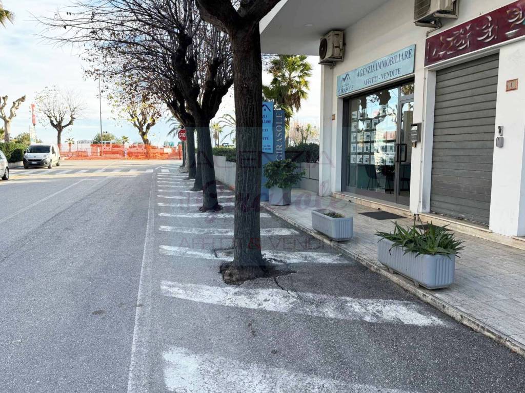 immagine annuncio 5 di 6