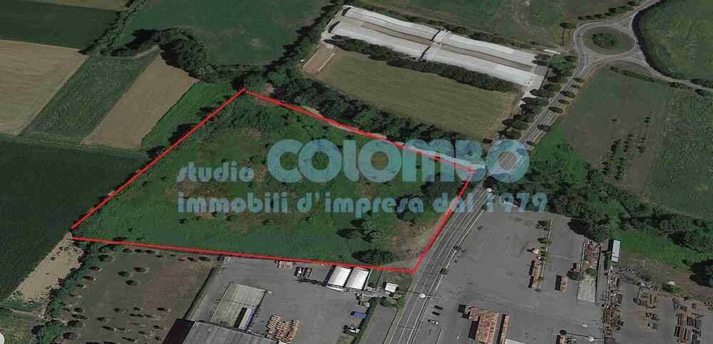 immagine annuncio 2 di 6