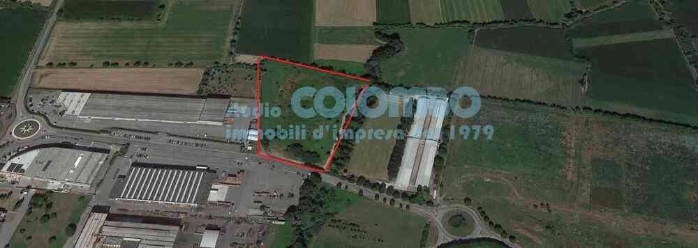 immagine annuncio 3 di 6