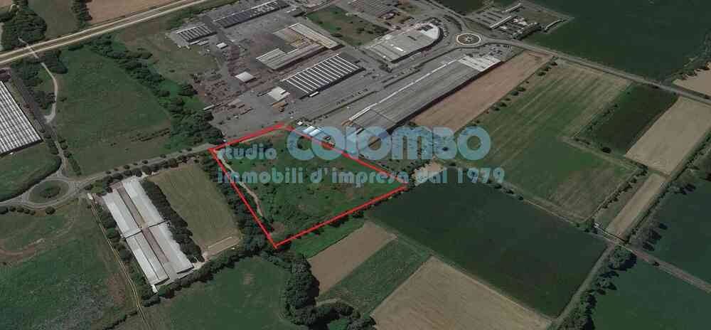 immagine annuncio 4 di 6