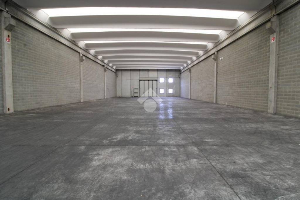 immagine annuncio 6 di 13