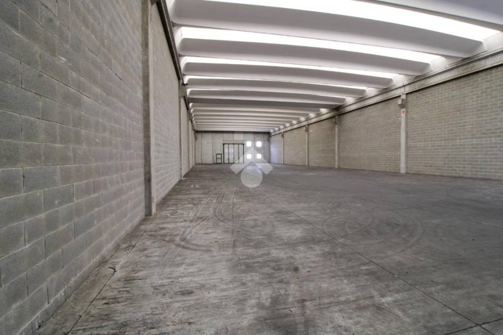 immagine annuncio 10 di 13