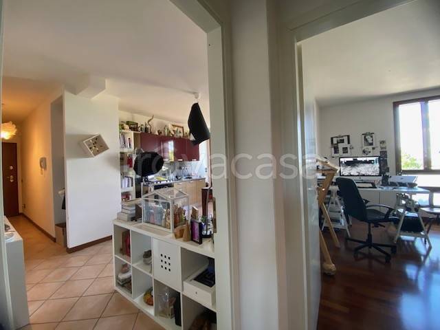 immagine annuncio 3 di 8