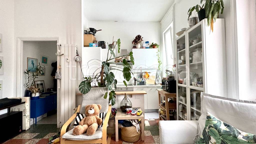 immagine annuncio 9 di 15