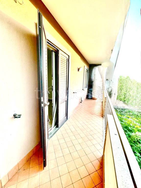 immagine annuncio 12 di 14